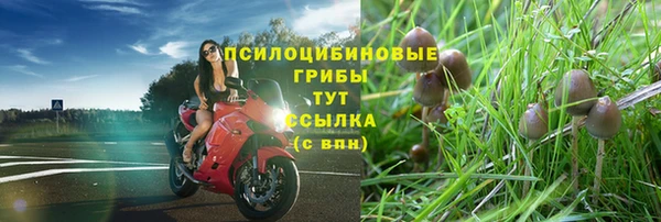 альфа пвп Костерёво