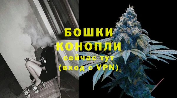 соль ск Куртамыш