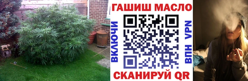ТГК гашишное масло  купить наркоту  Макаров 