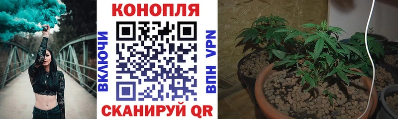 Каннабис AK-47  Макаров 